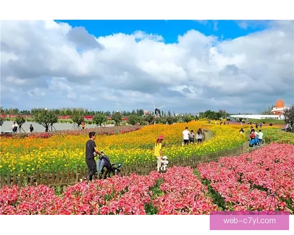 紫百合公园停摆众人致敬科米索